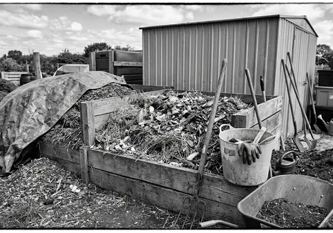 Image showing compost