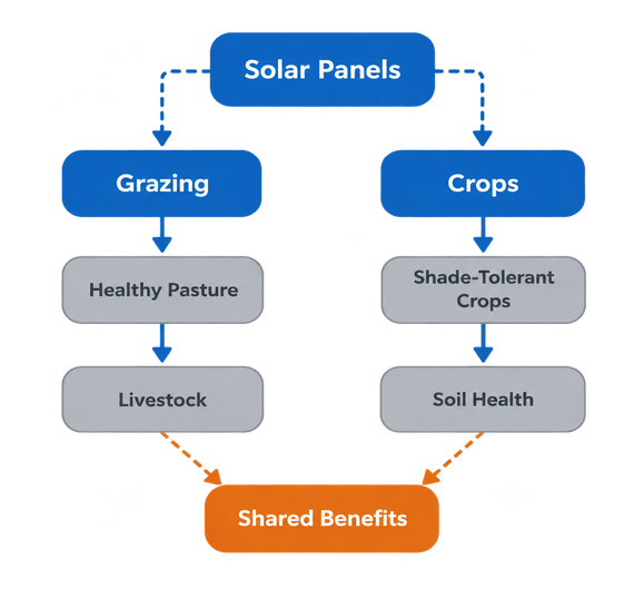 Image showing grazing vs crops diagram