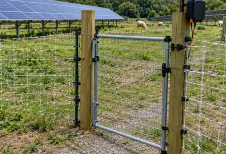 Image showing sheep solar fencing gate